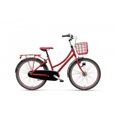 Batavus Bronx 24 Batavus Bronx 24
