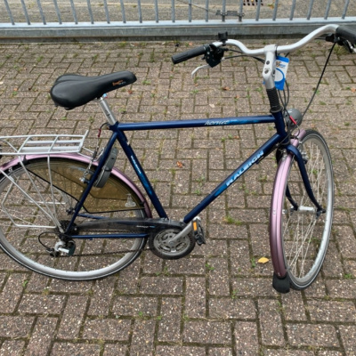 Raleigh Hornet, blauw Raleigh Hornet, blauw