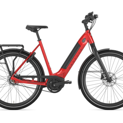 GAZELLE Ultimate C8+ HMB Belt, Champion Red Glans GAZELLE Ultimate C8+ HMB Belt, Champion Red Glans