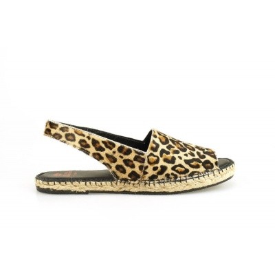 Foto van FRED DE LA BRETONIERE 152010062 LEOPARD