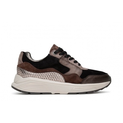 Foto van XSENSIBLE DAMES SNEAKERS BRUIN 33000.2 GOLDEN GATE LADY GX 383 DARK BROWN FANTASY