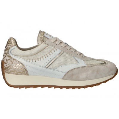 Foto van PIEDI NUDI DAMES SNEAKERS ECRU HARLEM 05.08 CREAM GOLD 
