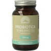 Afbeelding van Mattisson Absolute probiotica 1000 mg 10 miljard CFU