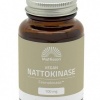 Afbeelding van Mattisson Vegan nattokinase bio