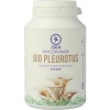 Afbeelding van Mycopower Pleurotus bio