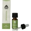 Afbeelding van CHI Wintergreen wild