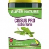 Afbeelding van SNP Cissus pro 10.000 mg puur