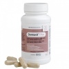 Afbeelding van Biotics Dormavit plus