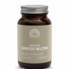 Afbeelding van Mattisson Ginkgo biloba bio