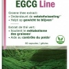 Afbeelding van Fytostar EGCG line