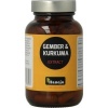 Afbeelding van Hanoju Gember & curcuma extract