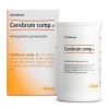 Afbeelding van Heel Cerebrum compositum H