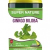 Afbeelding van SNP Ginkgo biloba 500 mg puur