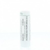 Afbeelding van Homeoden Heel Echinacea purpurea D12