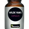 Afbeelding van Hanoju Wild yams 500 mg