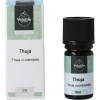 Afbeelding van Volatile Thuja
