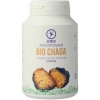 Afbeelding van Mycopower Chaga bio
