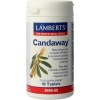 Afbeelding van Lamberts Candaway