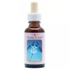 Afbeelding van Animal Essences Manta ray (reuzenmanta)
