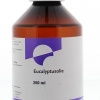 Afbeelding van Orphi Eucalyptus aetheroleum