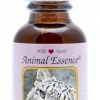 Afbeelding van Animal Essences Snow leopard (sneeuwluipaard)
