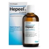 Afbeelding van Heel Hepeel H