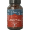 Afbeelding van Terranova Astragalus elderberry & garlic complex