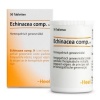 Afbeelding van Heel Echinacea compositum H