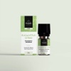 Afbeelding van Volatile Eucalyptus citriodora