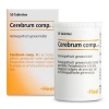 Afbeelding van Heel Cerebrum compositum H