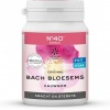 Afbeelding van Lemonpharma Bach Bach Bloesem kauwgom No 40 kracht & sterkte