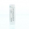 Afbeelding van Homeoden Heel Melissa officinalis D30