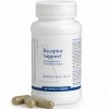 Afbeelding van Biotics Receptor support