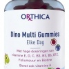 Afbeelding van Orthica Dino multi
