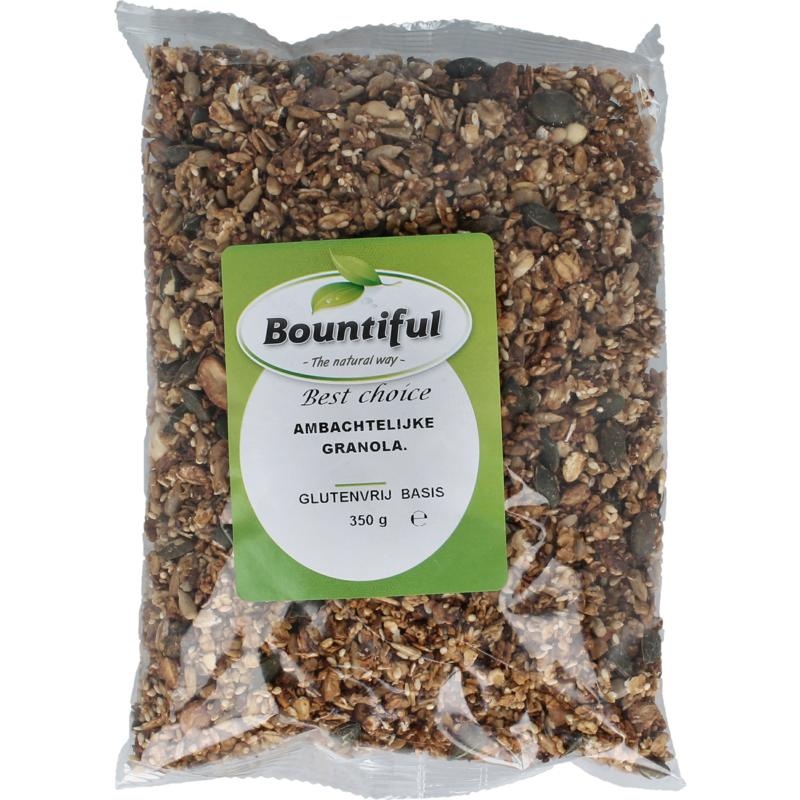 Bountiful Ambachtelijke granola glutenvrij bio - 350 gram