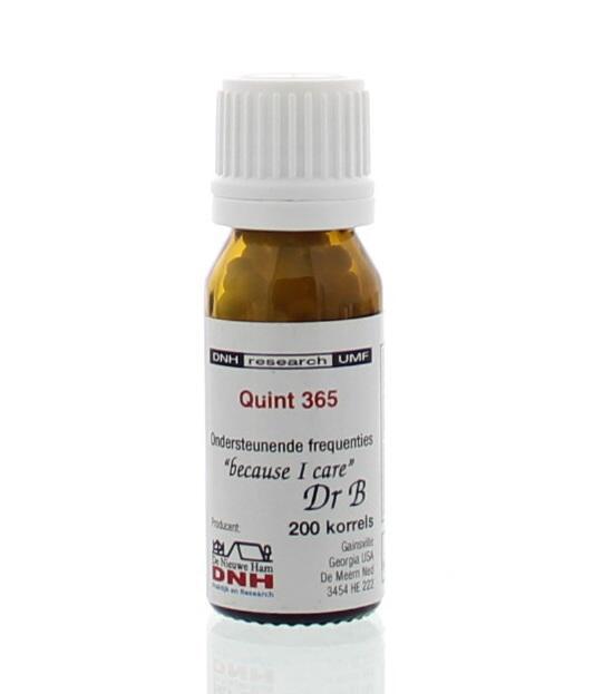 DNH Quint 365 - 200 stuks