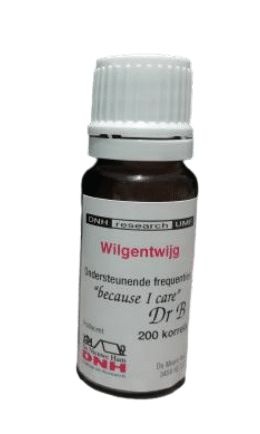 DNH Wilgentwijg - 200 stuks