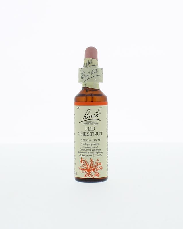 Red chestnut / rode kastanje - 20 Milliliter