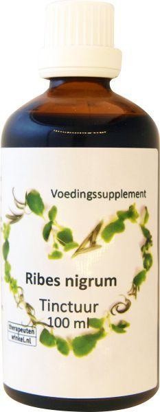 Ribes nigrum zwarte bes - 100 milliliter