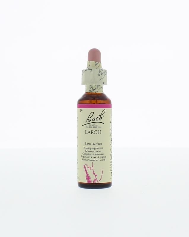 Larch / lariks - 20 Milliliter