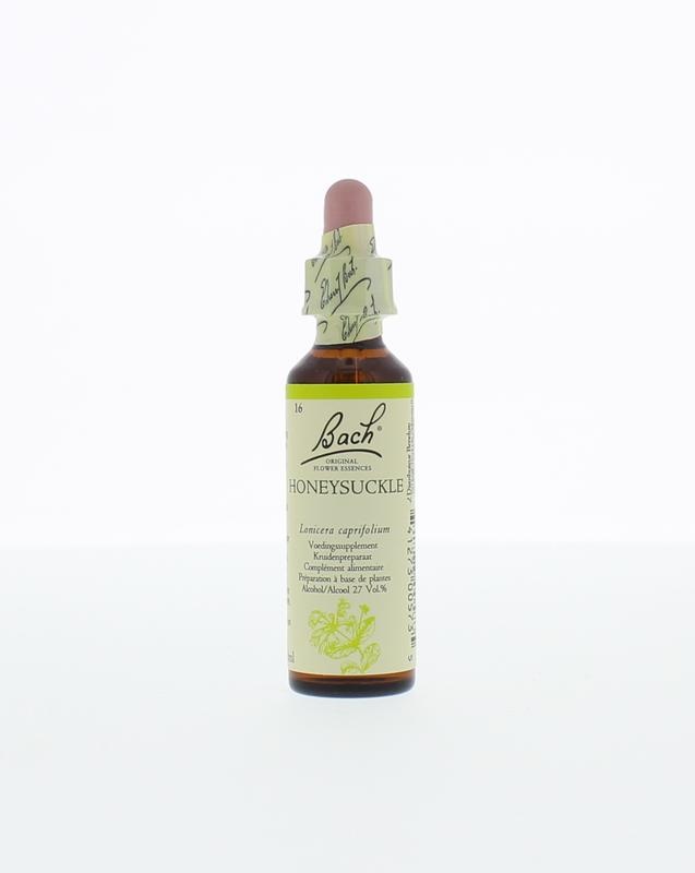 Honeysuckle / kamperfoelie - 20 Milliliter