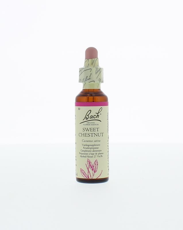 Sweet chestnut / tamme kastanje - 20 Milliliter