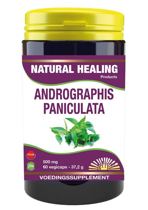 NHP Andrographis paniculata 500 mg puur - 60 Vegetarische capsules