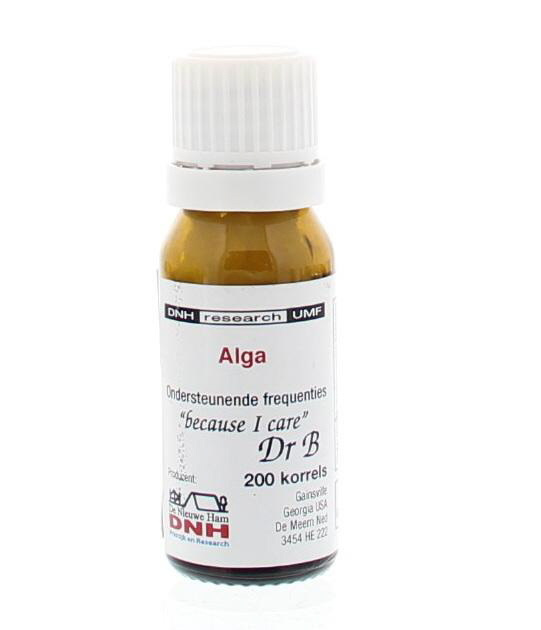 DNH Alga - 200 stuks