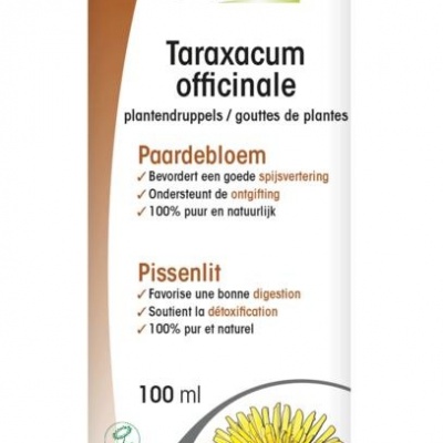 Physalis Taraxacum officinale bio Physalis Taraxacum officinale bio