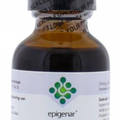 Epigenar Barberry