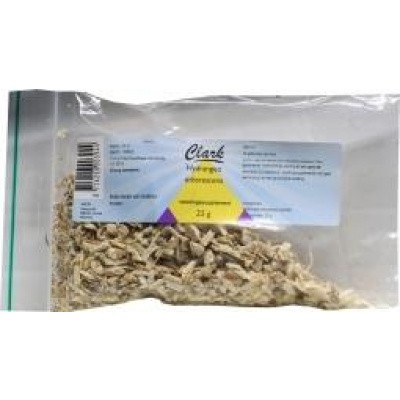 Hydrangea officinalis Hydrangea officinalis