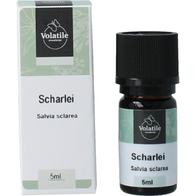 Volatile Scharlei Volatile Scharlei