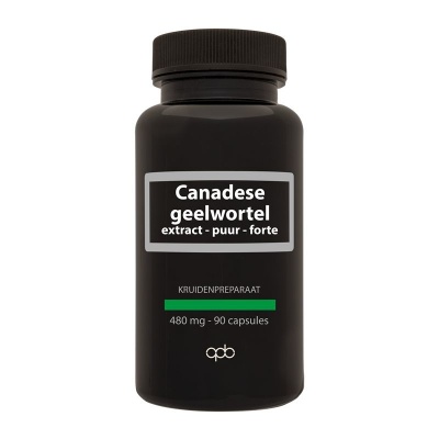 Apb Holland Canadese geelwortel 480mg puur Apb Holland Canadese geelwortel 480mg puur