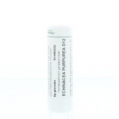 Homeoden Heel Echinacea purpurea D12 Homeoden Heel Echinacea purpurea D12